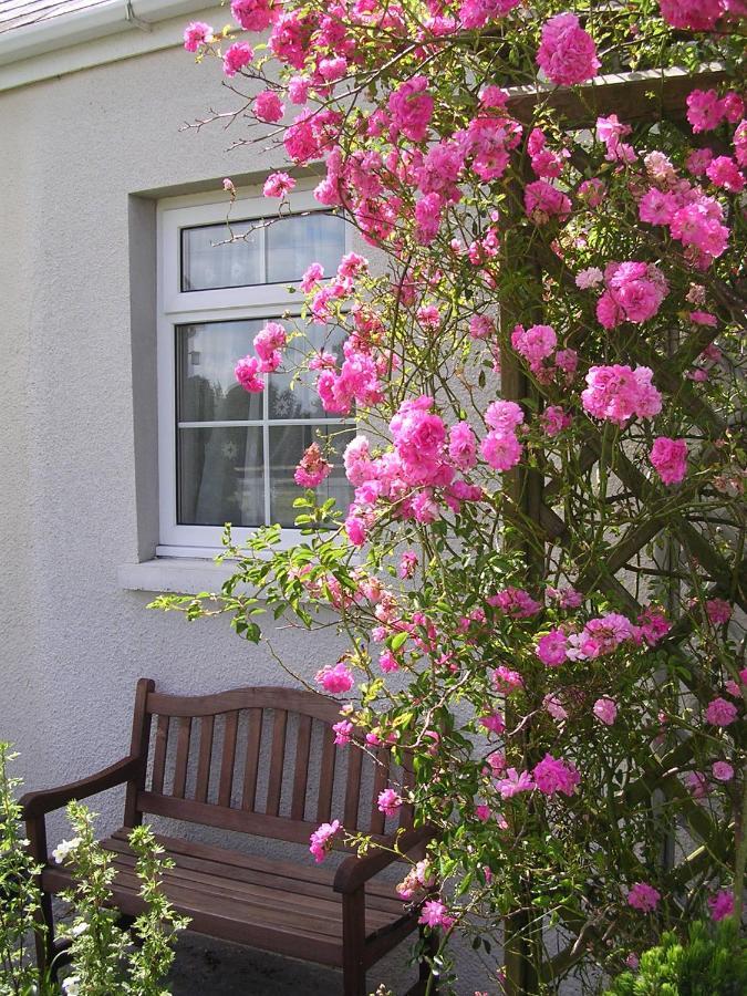 Glascoed Farmhouse Carmarthen Dış mekan fotoğraf
